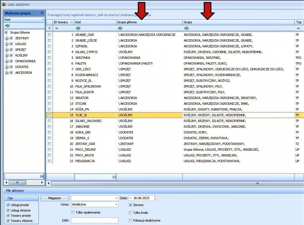 Grupa główna i grupy towaru — rzeczywisty widok dodatku w Comarch ERP Optima, zdjęcie 2