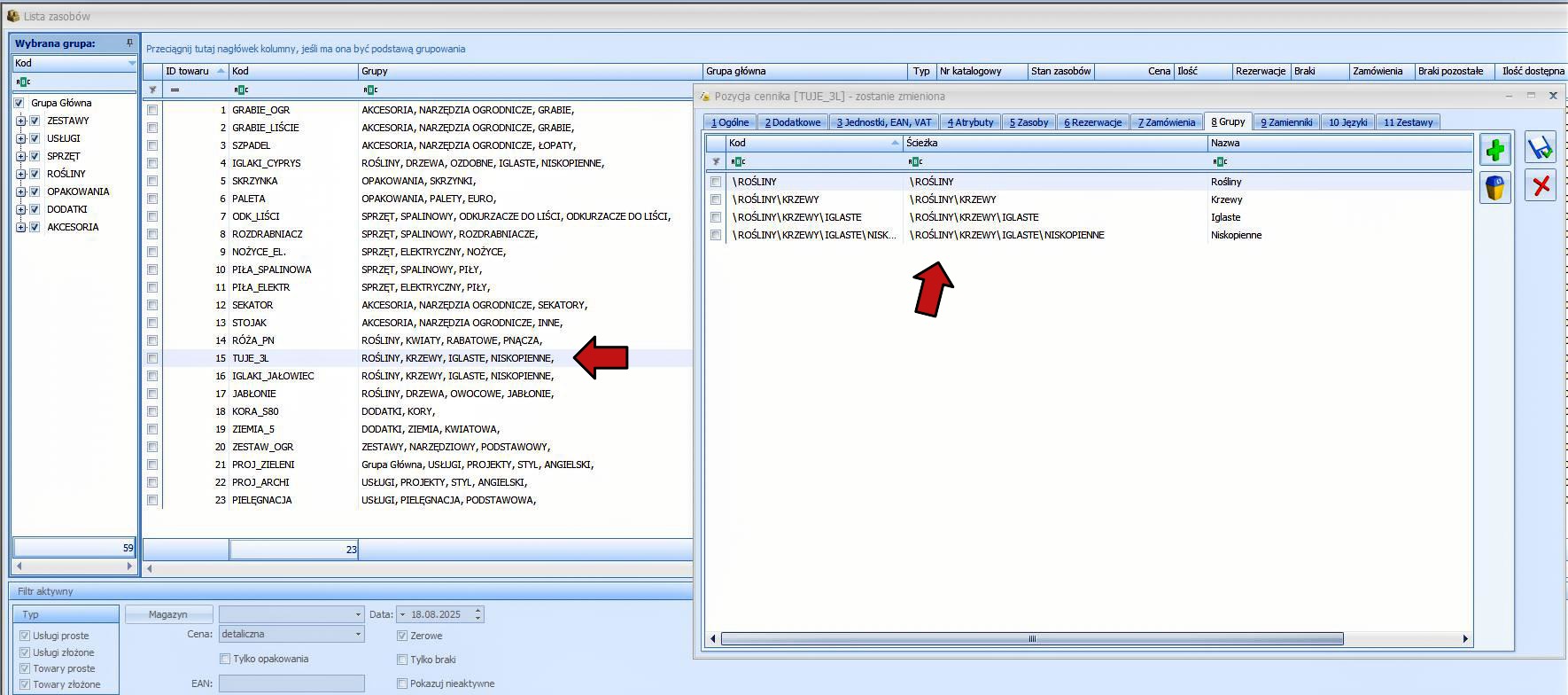 Grupa główna i grupy towaru — rzeczywisty widok dodatku w Comarch ERP Optima, zdjęcie 3