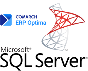 Microsoft SQL Server — logo wykorzystane w artykule BlueNetwork